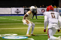 Lions vs Predators 6/6