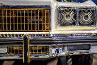 DSC_5330
