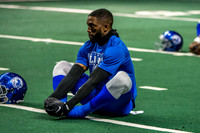 LionsVsRaiders-2