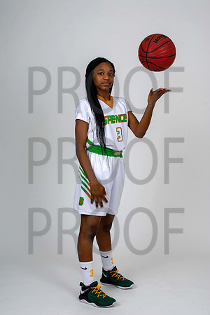 SHSbasketball-12-edit