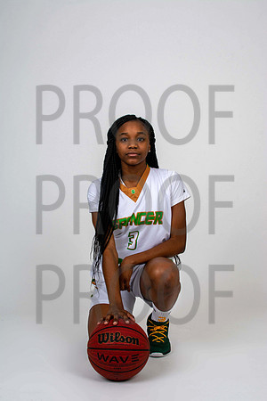 SHSbasketball-13-edit