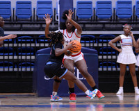 Day 4 - Lady Tigers vs Hawks