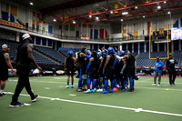 Lions vs Venom 3/17/24