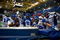 Lions vs Stampede 4/18/24
