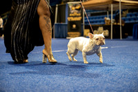 DSC_5401