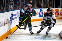 Riverdragons 12/14/24